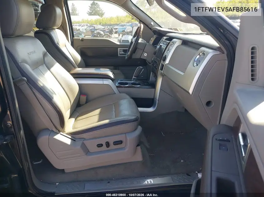2010 FORD F-150 VIN 1FTFW1EV5AFB85616 — фото 5