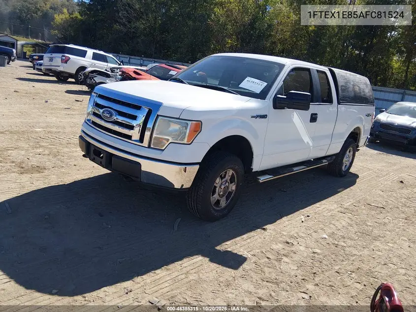 2010 FORD F-150 VIN 1FTEX1E85AFC81524 — фото 2