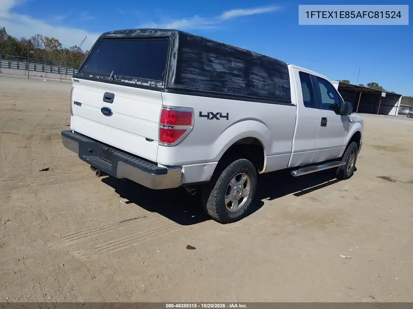 2010 FORD F-150 VIN 1FTEX1E85AFC81524 — фото 4