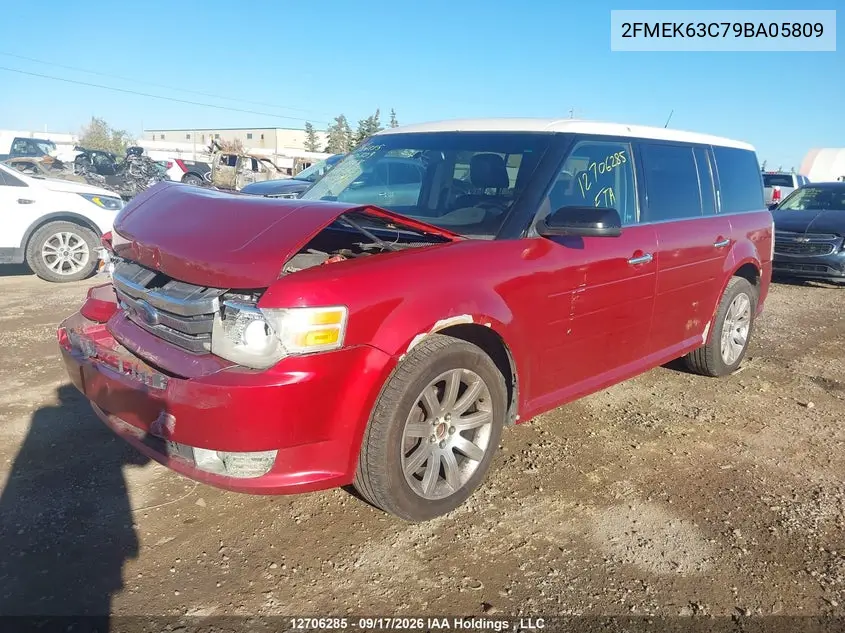2009 FORD FLEX VIN 2FMEK63C79BA05809 — фото 2