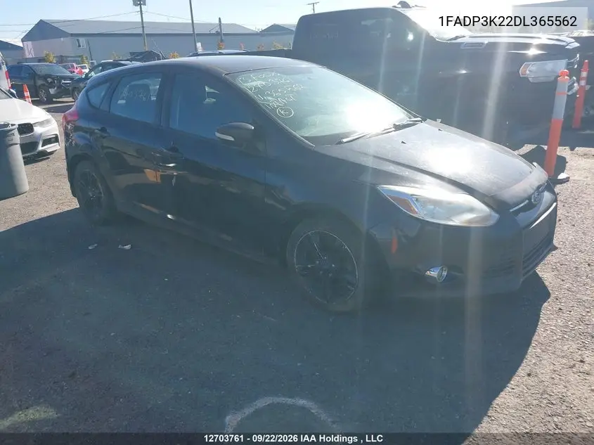 FORD FOCUS 2013, VIN 1FADP3K22DL365562