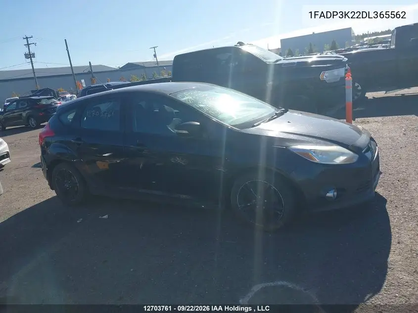 2013 FORD FOCUS VIN 1FADP3K22DL365562 — фото 13