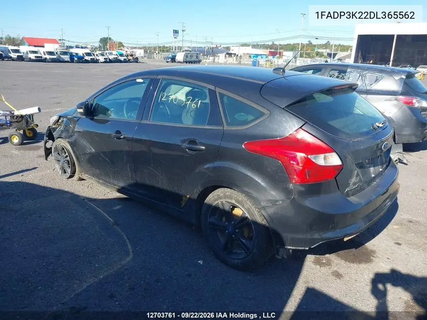 2013 FORD FOCUS VIN 1FADP3K22DL365562 — фото 14