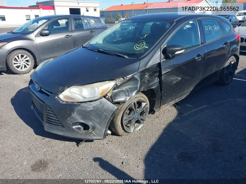 2013 FORD FOCUS VIN 1FADP3K22DL365562 — фото 6