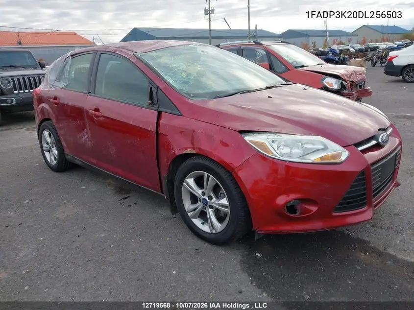 FORD FOCUS 2013, VIN 1FADP3K20DL256503