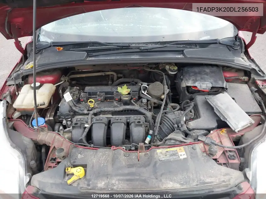 2013 FORD FOCUS VIN 1FADP3K20DL256503 — фото 10