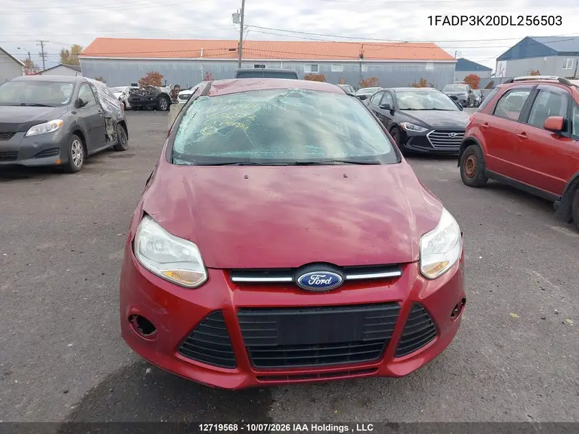 2013 FORD FOCUS VIN 1FADP3K20DL256503 — фото 12