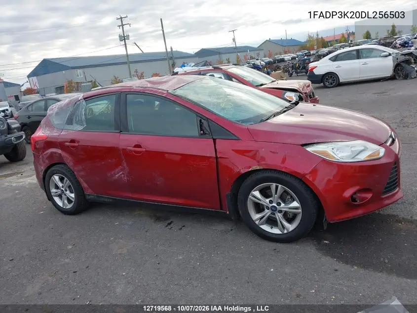 2013 FORD FOCUS VIN 1FADP3K20DL256503 — фото 13
