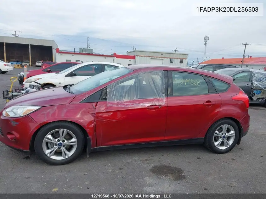 2013 FORD FOCUS VIN 1FADP3K20DL256503 — фото 14