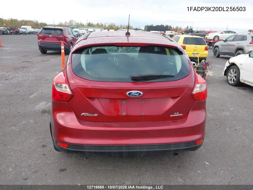 2013 FORD FOCUS VIN 1FADP3K20DL256503 — фото 16