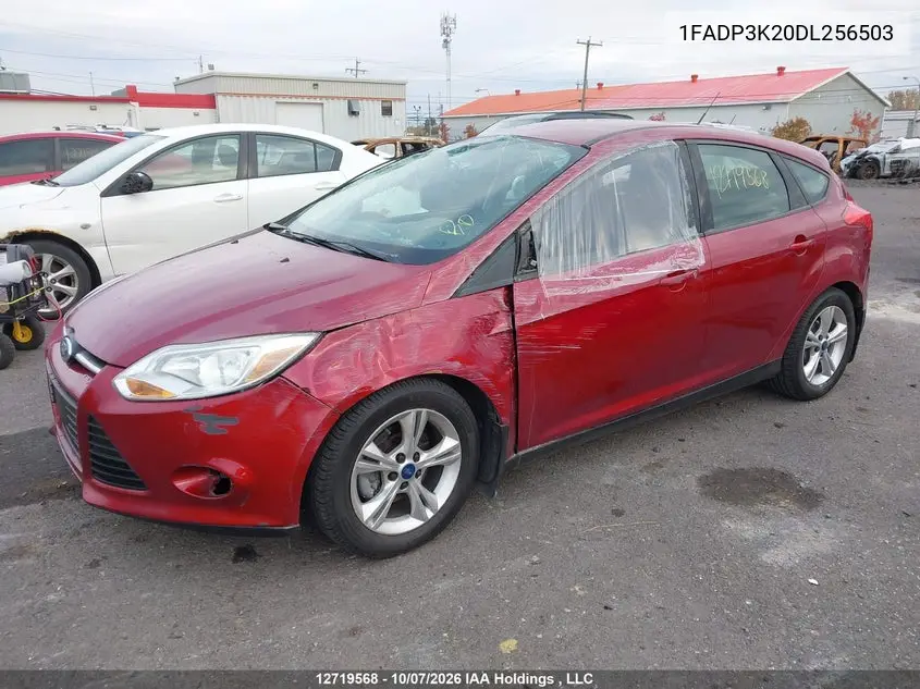 2013 FORD FOCUS VIN 1FADP3K20DL256503 — фото 2