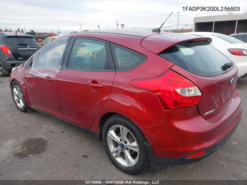 2013 FORD FOCUS VIN 1FADP3K20DL256503 — фото 3