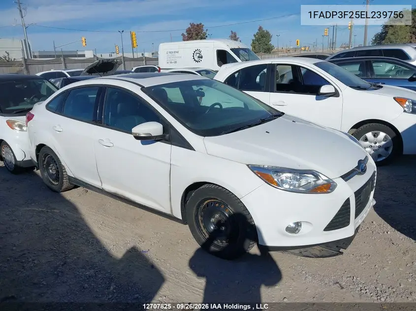 FORD FOCUS 2014, VIN 1FADP3F25EL239756