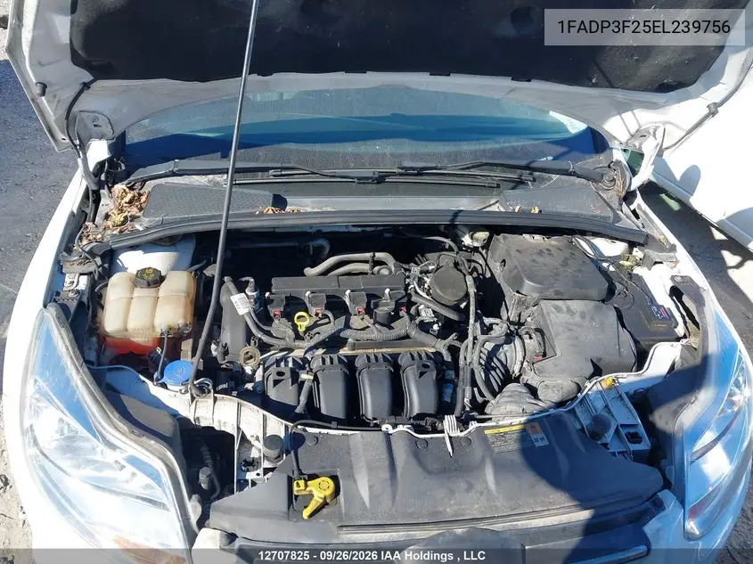 2014 FORD FOCUS VIN 1FADP3F25EL239756 — фото 10