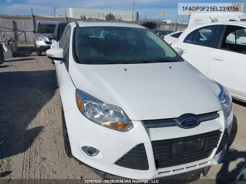 2014 FORD FOCUS VIN 1FADP3F25EL239756 — фото 12