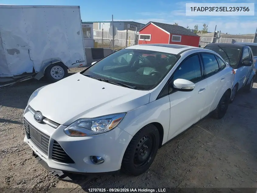2014 FORD FOCUS VIN 1FADP3F25EL239756 — фото 2