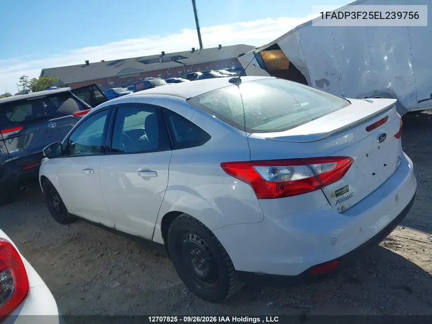 2014 FORD FOCUS VIN 1FADP3F25EL239756 — фото 3