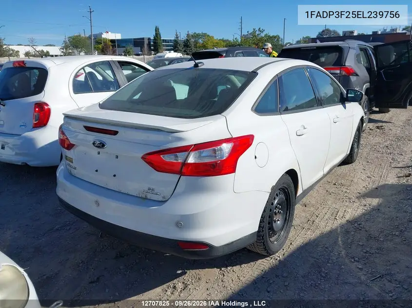 2014 FORD FOCUS VIN 1FADP3F25EL239756 — фото 4