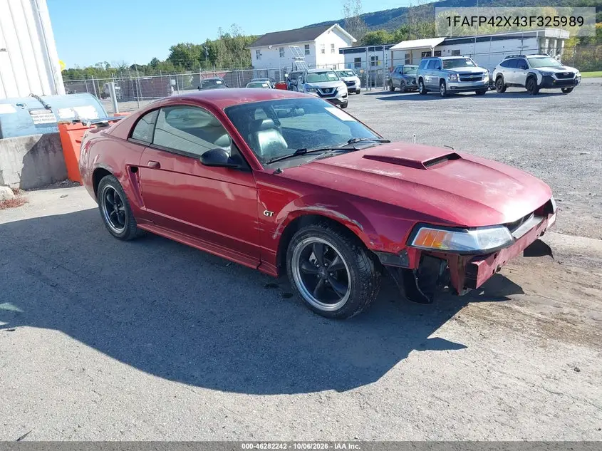 FORD MUSTANG 2003, VIN 1FAFP42X43F325989