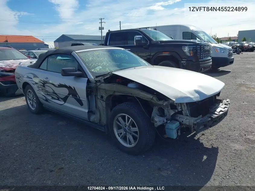 FORD MUSTANG 2005, VIN 1ZVFT84N455224899