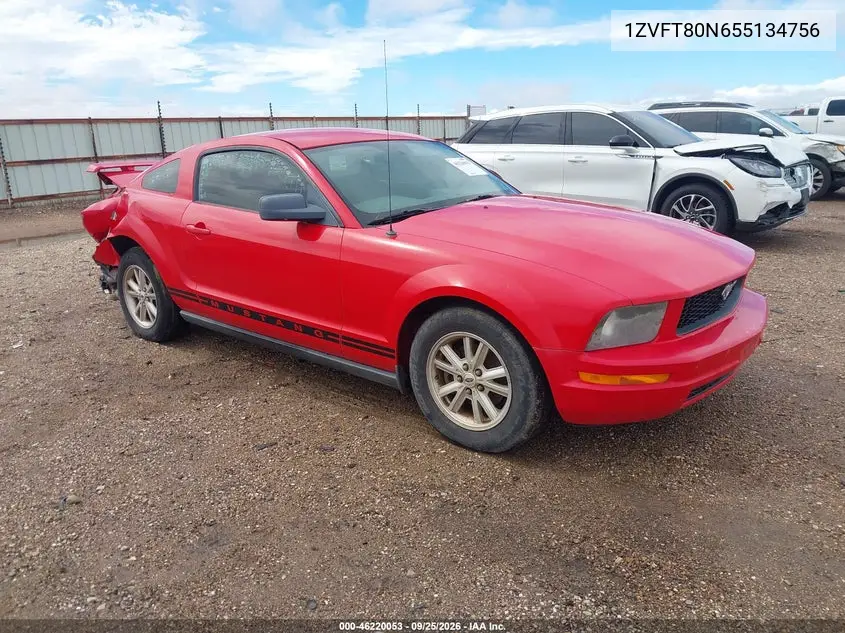 FORD MUSTANG 2005, VIN 1ZVFT80N655134756
