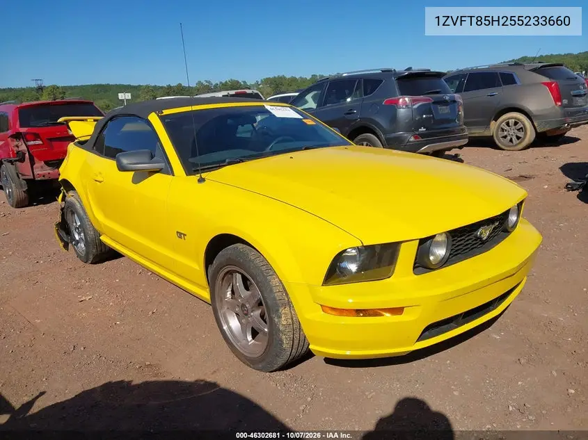 FORD MUSTANG 2005, VIN 1ZVFT85H255233660