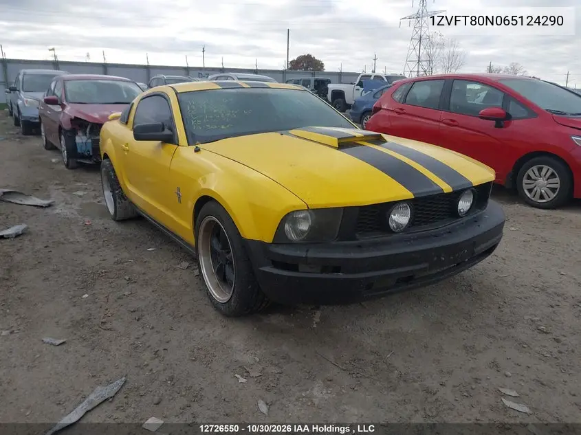FORD MUSTANG 2006, VIN 1ZVFT80N065124290