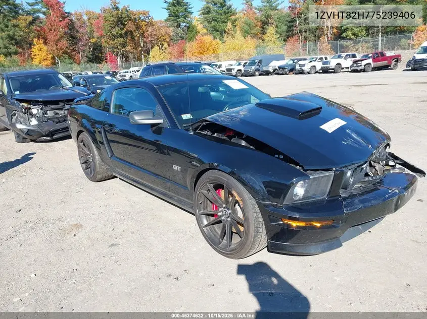 FORD MUSTANG 2007, VIN 1ZVHT82H775239406