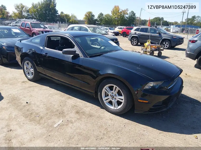 FORD MUSTANG 2013, VIN 1ZVBP8AM1D5247389