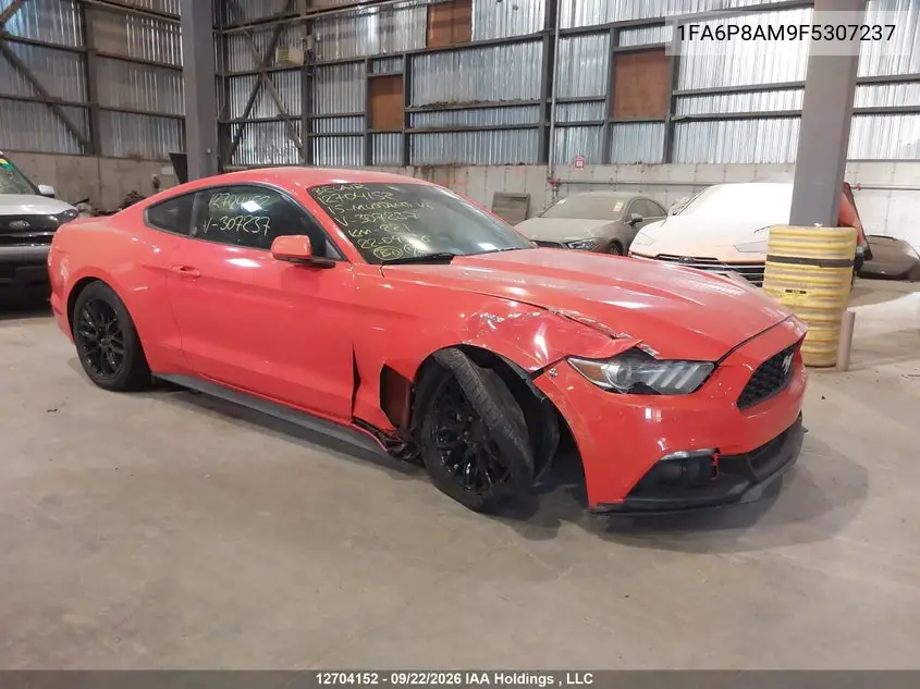 FORD MUSTANG 2015, VIN 1FA6P8AM9F5307237