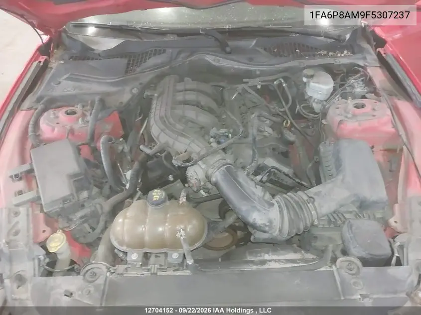 2015 FORD MUSTANG VIN 1FA6P8AM9F5307237 — фото 10