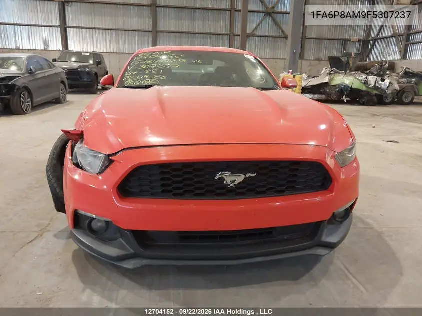 2015 FORD MUSTANG VIN 1FA6P8AM9F5307237 — фото 13