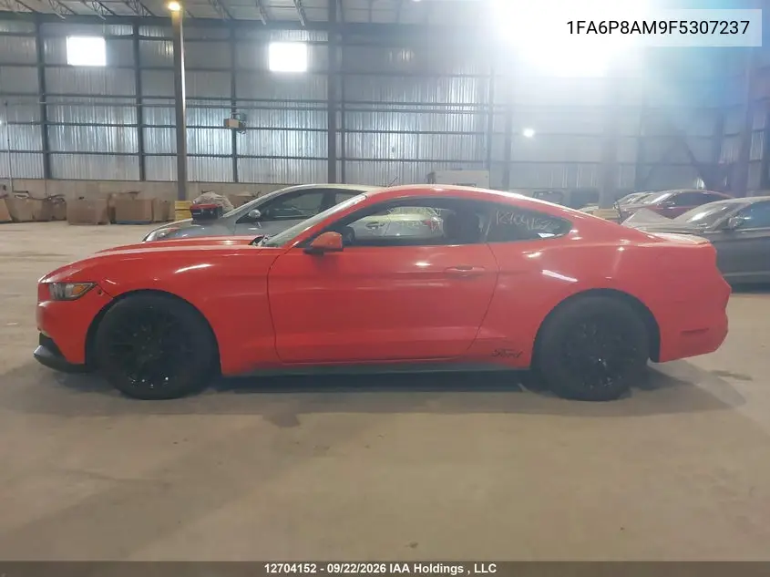 2015 FORD MUSTANG VIN 1FA6P8AM9F5307237 — фото 15