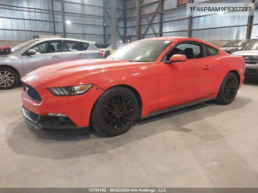 2015 FORD MUSTANG VIN 1FA6P8AM9F5307237 — фото 2