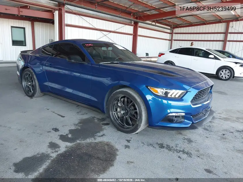FORD MUSTANG 2017, VIN 1FA6P8CF3H5239499