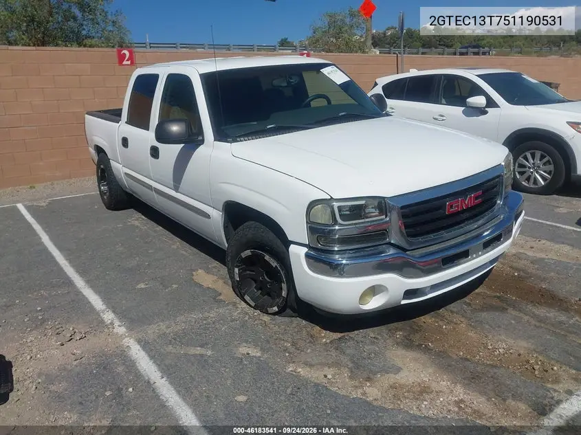 GMC SIERRA 2005, VIN 2GTEC13T751190531