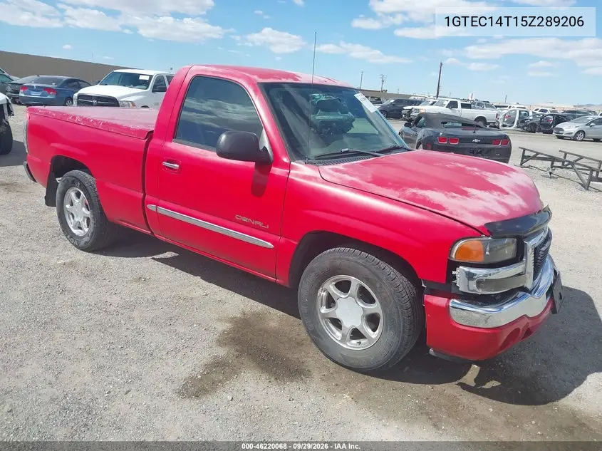 GMC SIERRA 2005, VIN 1GTEC14T15Z289206