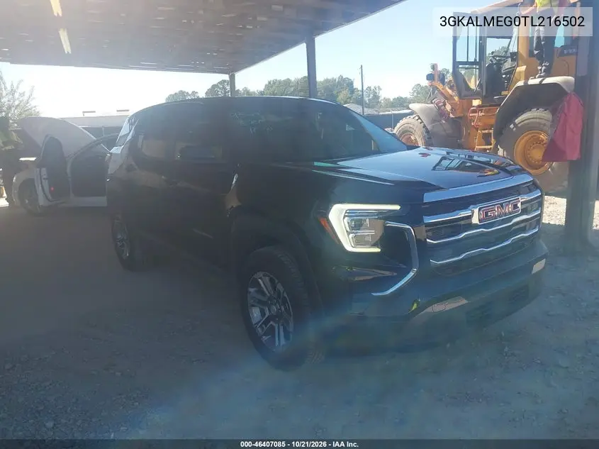 GMC TERRAIN 2026, VIN 3GKALMEG0TL216502