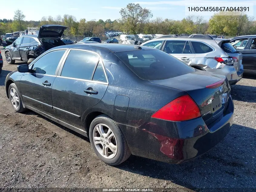 2007 HONDA ACCORD VIN 1HGCM56847A044391 — фото 3