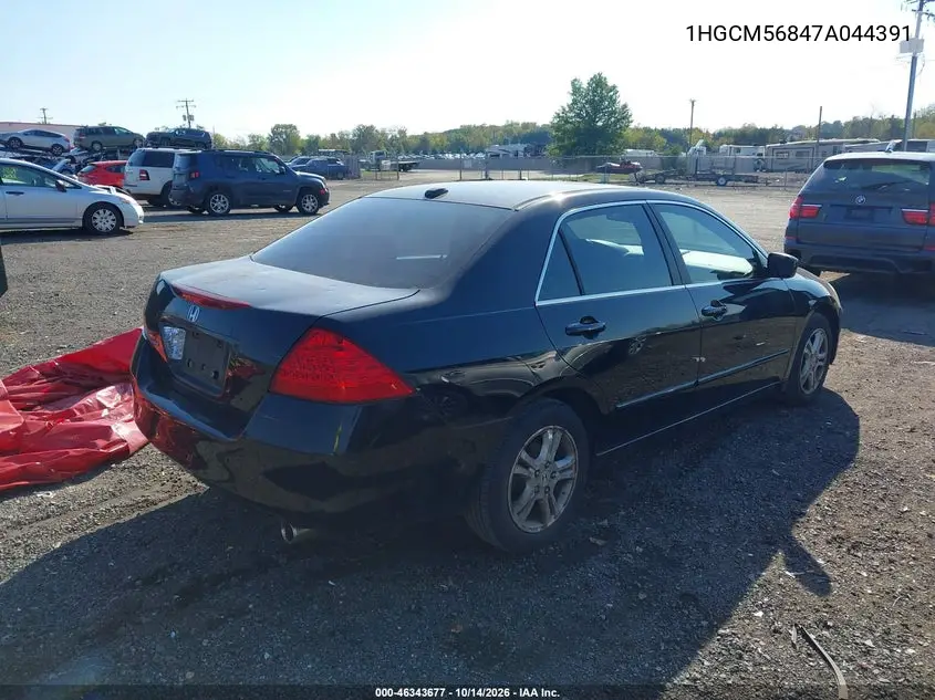 2007 HONDA ACCORD VIN 1HGCM56847A044391 — фото 4