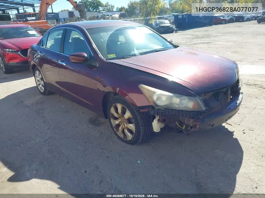 HONDA ACCORD 2008, VIN 1HGCP36828A077077