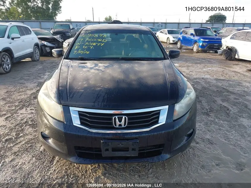 2009 HONDA ACCORD VIN 1HGCP36809A801544 — фото 11
