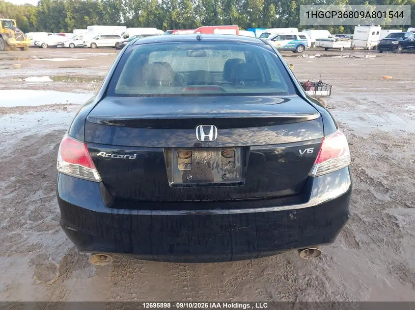 2009 HONDA ACCORD VIN 1HGCP36809A801544 — фото 15