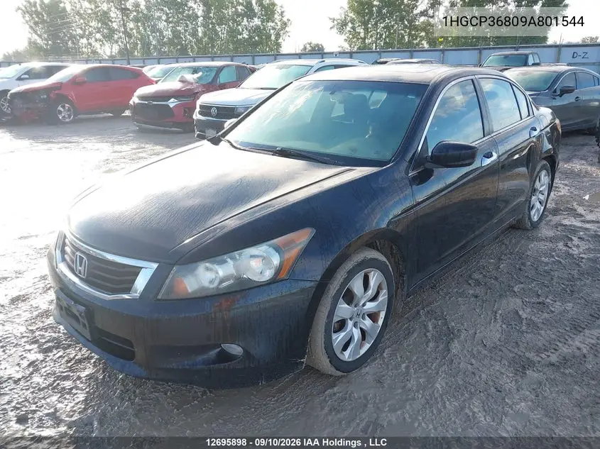 2009 HONDA ACCORD VIN 1HGCP36809A801544 — фото 2