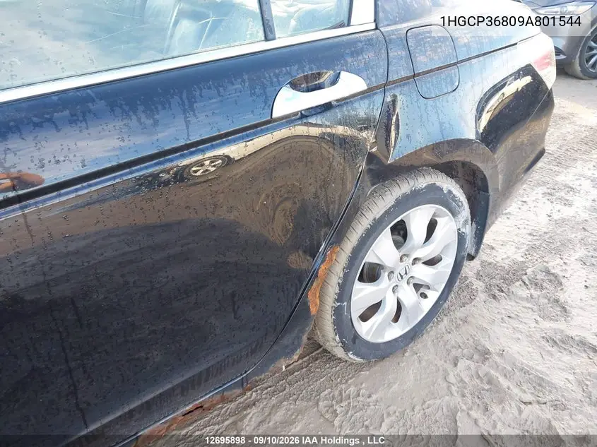 2009 HONDA ACCORD VIN 1HGCP36809A801544 — фото 6