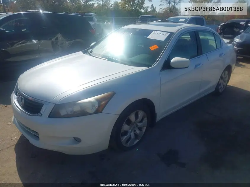 2010 HONDA ACCORD VIN 5KBCP3F86AB001388 — фото 2