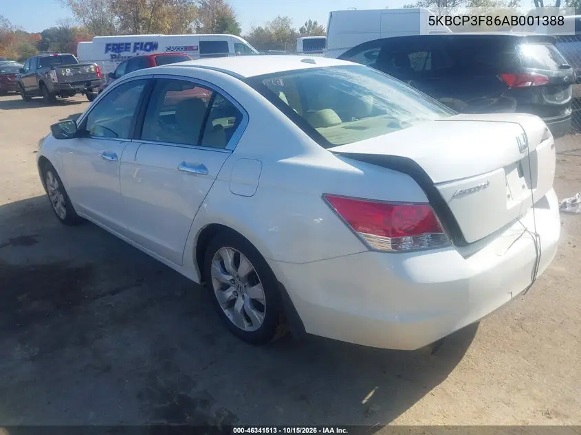 2010 HONDA ACCORD VIN 5KBCP3F86AB001388 — фото 3