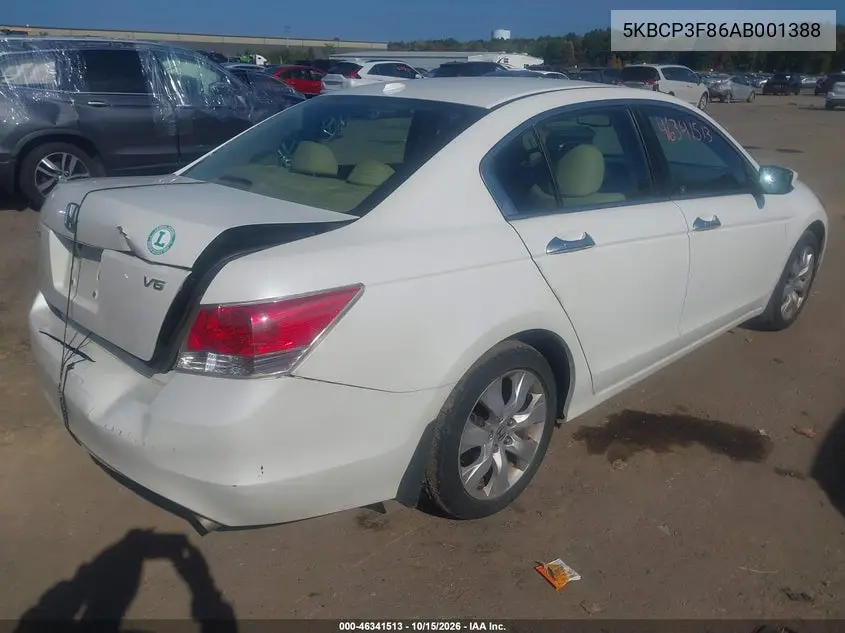 2010 HONDA ACCORD VIN 5KBCP3F86AB001388 — фото 4