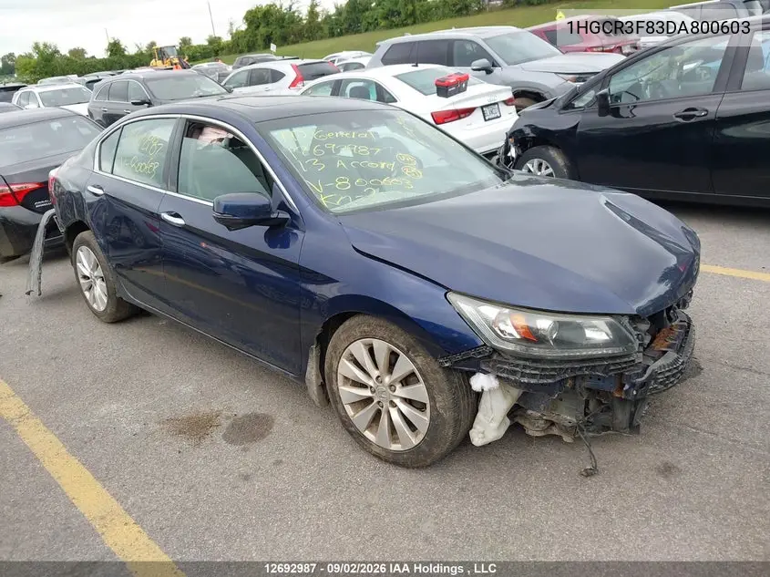 HONDA ACCORD 2013, VIN 1HGCR3F83DA800603