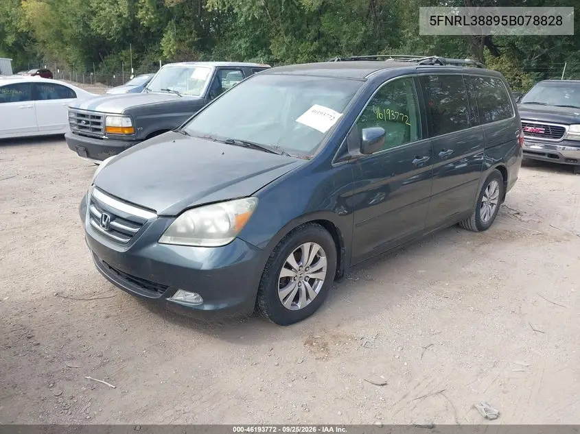 2005 HONDA ODYSSEY VIN 5FNRL38895B078828 — фото 2